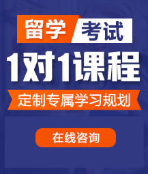 鸡巴插进女人下面的视频网站留学考试一对一精品课